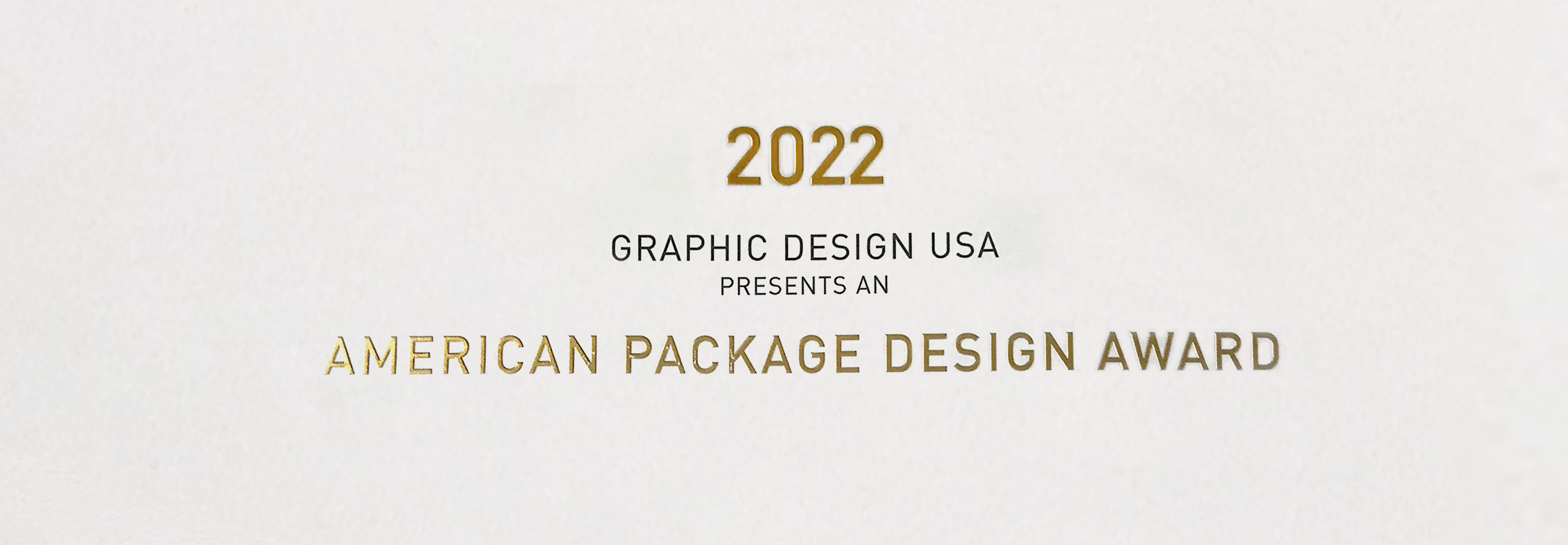 GDUSA Award 2022